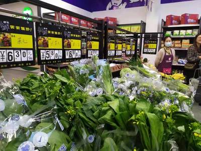 菜籃子里憶崢嶸 中山食出用蔬菜零售講述企業(yè)成長故事